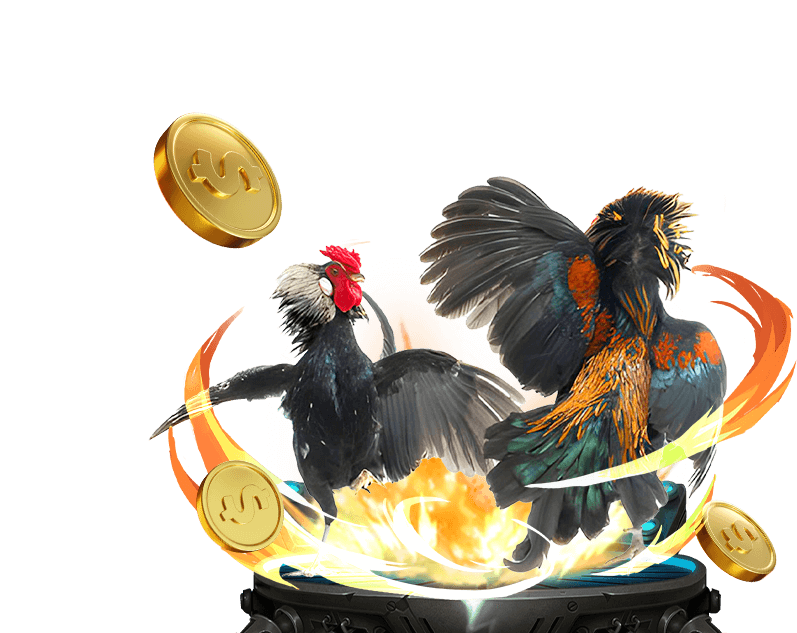 Đá Gà Trực Tuyến jj88